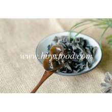 Chinese Vegetable Natural Black Wood Ear Agaric Ear